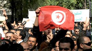 أطاحت الثورة التونسية بزين العابدين في مطلع العام الحالي