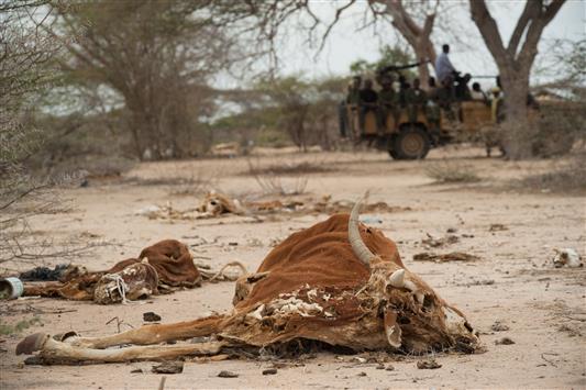 الجفاف يتهدد حياة الالاف في الصومال (ا ف ب)