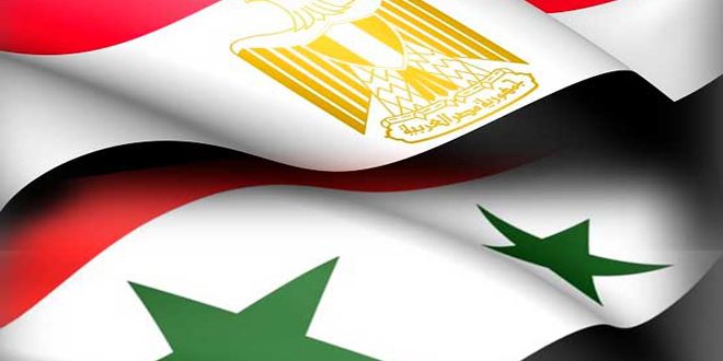 قوى وأحزاب سياسية مصرية تجدد مطالبتها بعودة العلاقات الدبلوماسية الكاملة بين القاهرة ودمشق