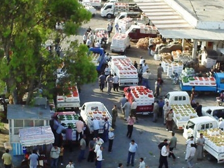 محافظة دمشق تزيد رسم دخول سيارات البراد إلى سوق الهال