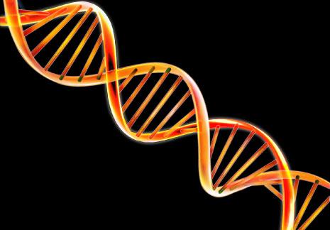 «جراحة كيميائيّة» لجينات بشريّة: حل مقترح للأمراض والتشوّهات الجينيّة