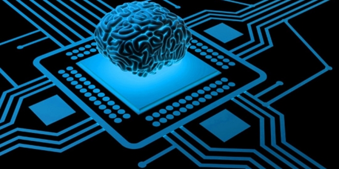الباحثون ينجحون في توصيل مخ بشري بالإنترنت