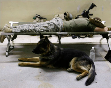 جندي أميركي وكلبه في إحدى القواعد الأميركية بالعراق