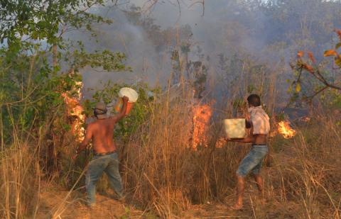  حرائق غابات الأمازون وسط صمت السلطات في البرازيل- رويترز