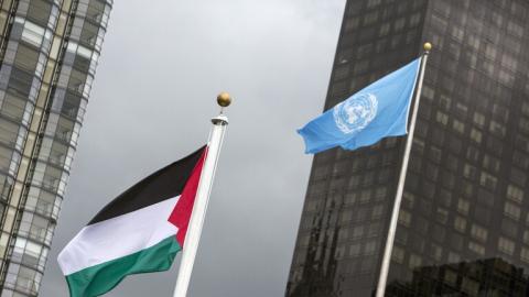 الأمم المتحدة وفلسطين.jpg