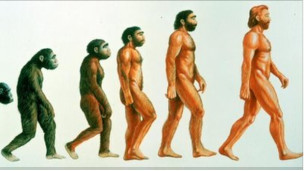 قال الباحثون إنهم كانوا يقتفون أثر التغيرات التطورية التي طرأت على المورثات البشرية.
