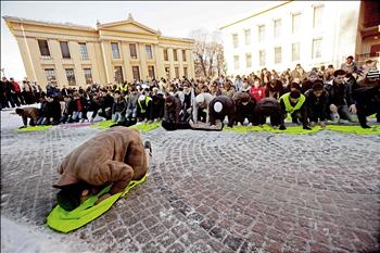 المتظاهرون يؤدون الصلاة في ساحة الجامعة في أوسلو أمس