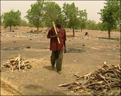 ثمانية ملايين فقدوا محاصيلهم الزراعية وماشيتهم بسبب الجفاف