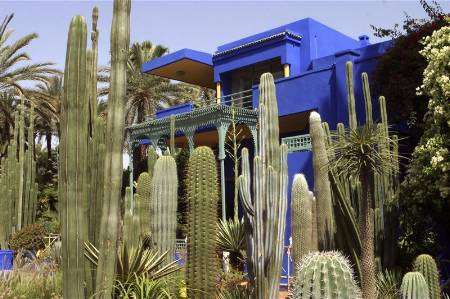 صورة لحديقة ماجوريل في مراكش التي يملكها مصمم الأزياء الفرنسي الراحل ايف سان لوران